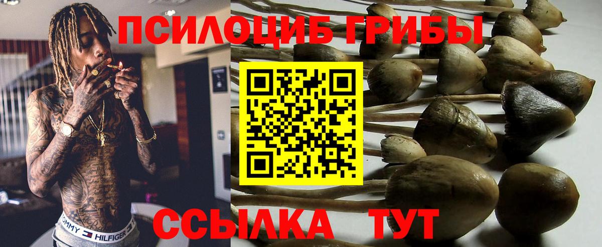 Псилоцибиновые грибы мухоморы Северск
